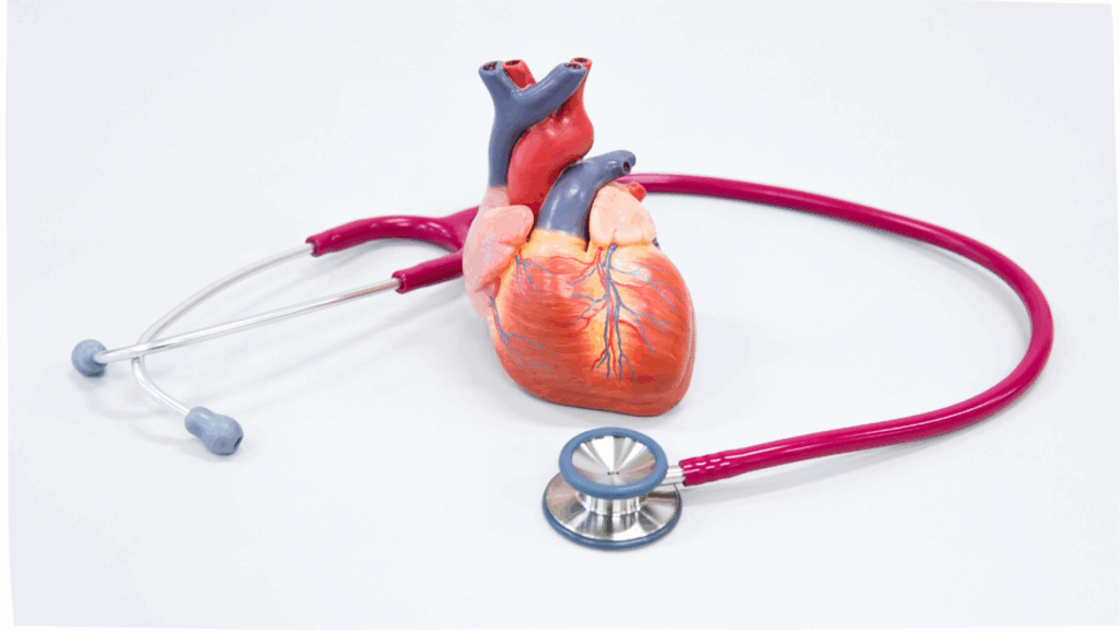 Cardiologie spécialité- grande clinique du nord