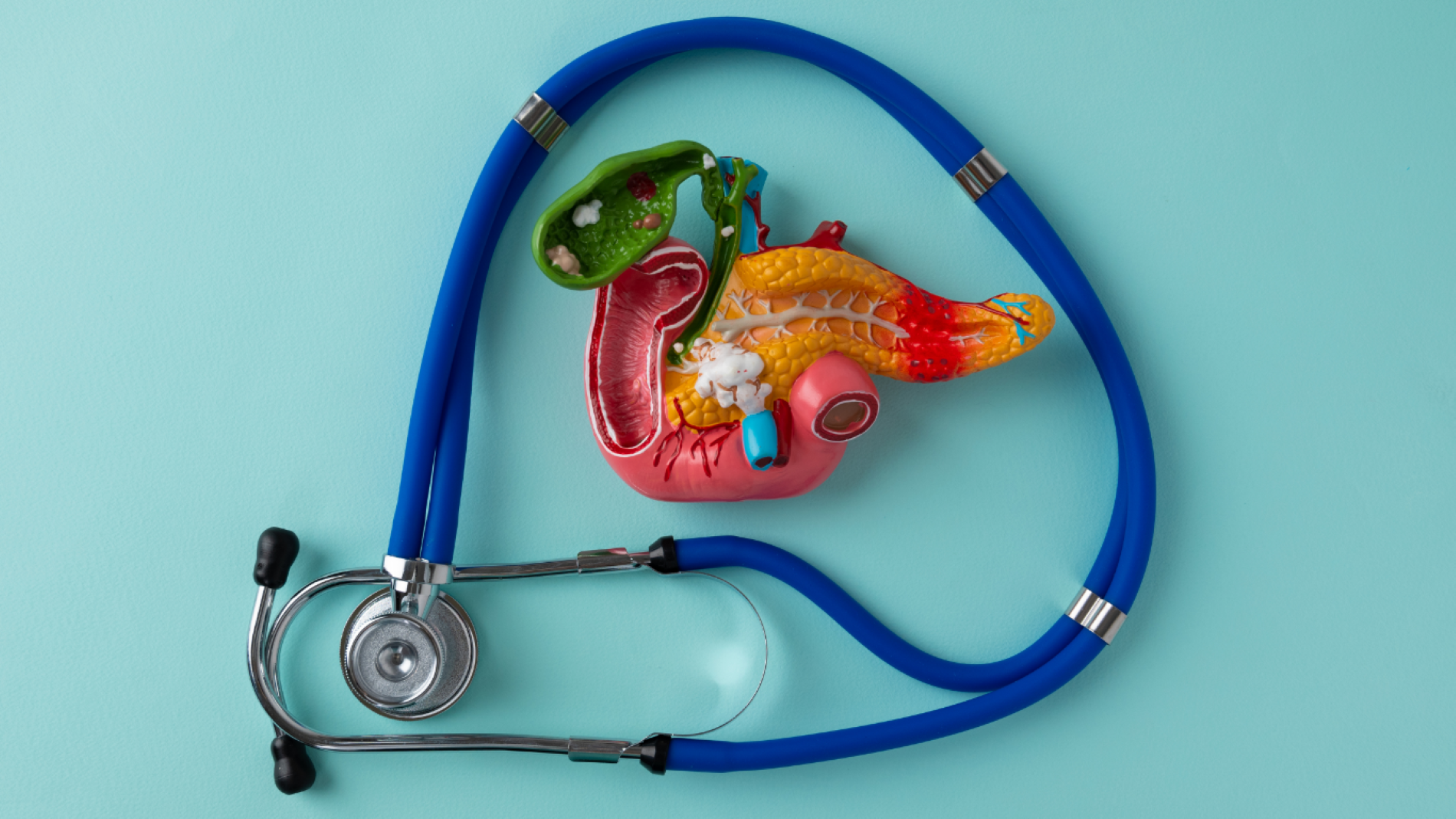 Gastro-entérologie spécialité- grande clinique du nord