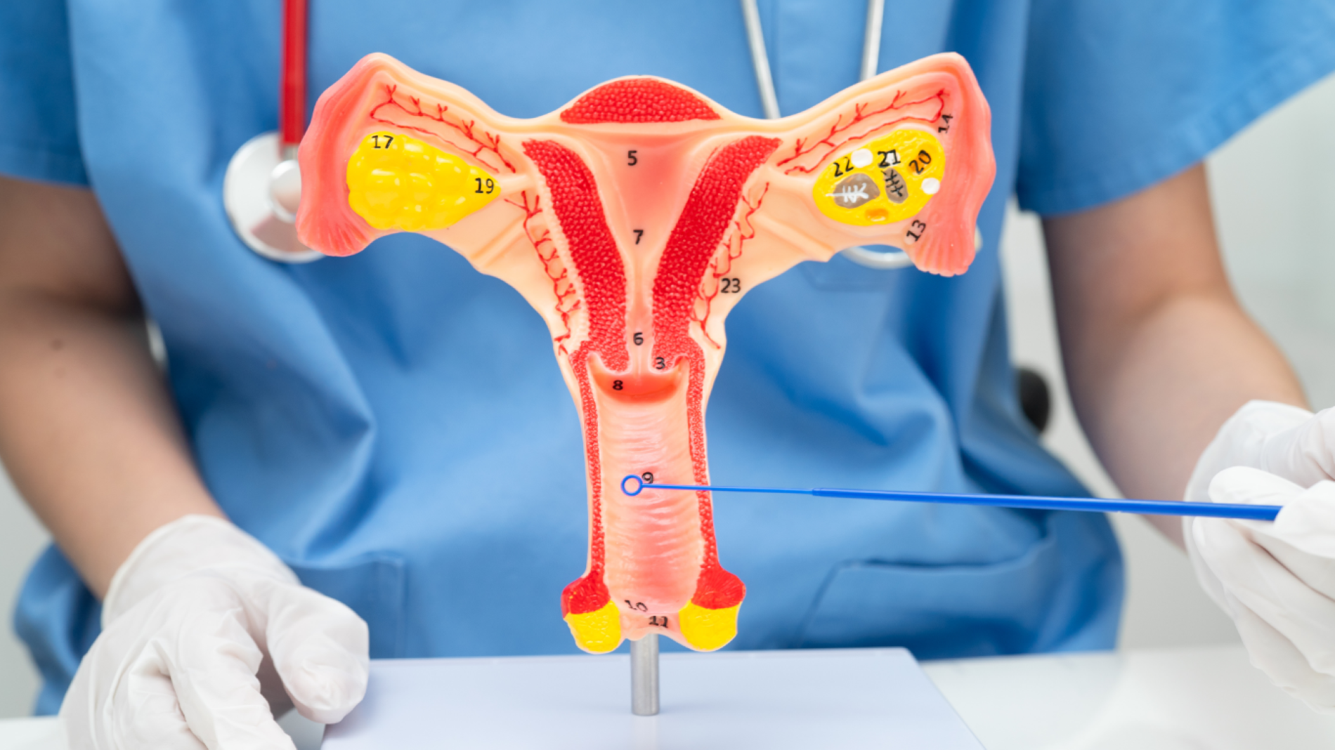 Gynécologie spécialité-grande clinique du nord