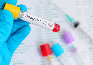 La dengue - grande clinique du nord