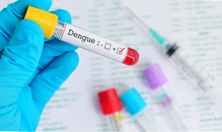 La dengue - grande clinique du nord