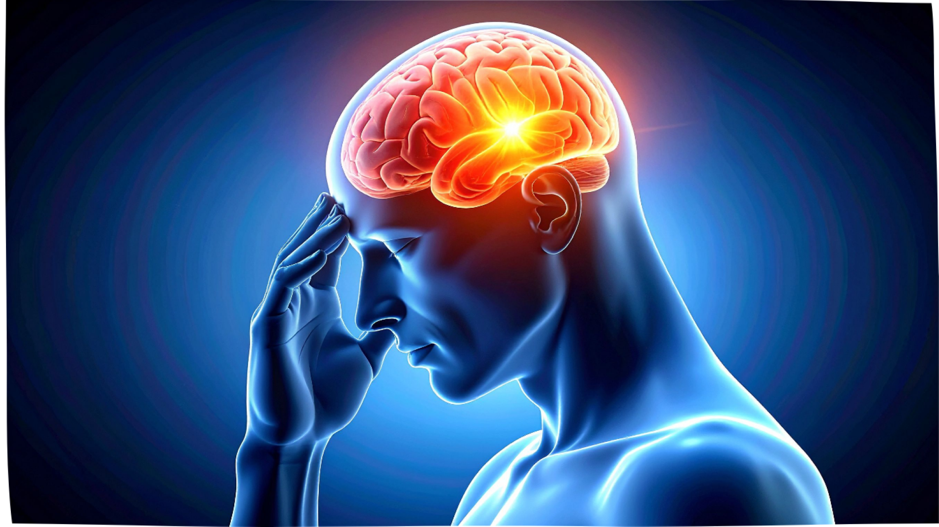 neurologie spécialité- grande clinique du nord