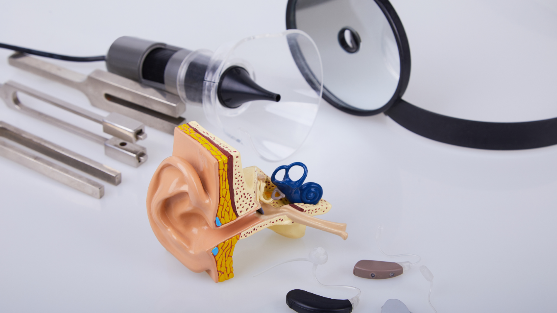 ORL spécialité- grande clinique du nord