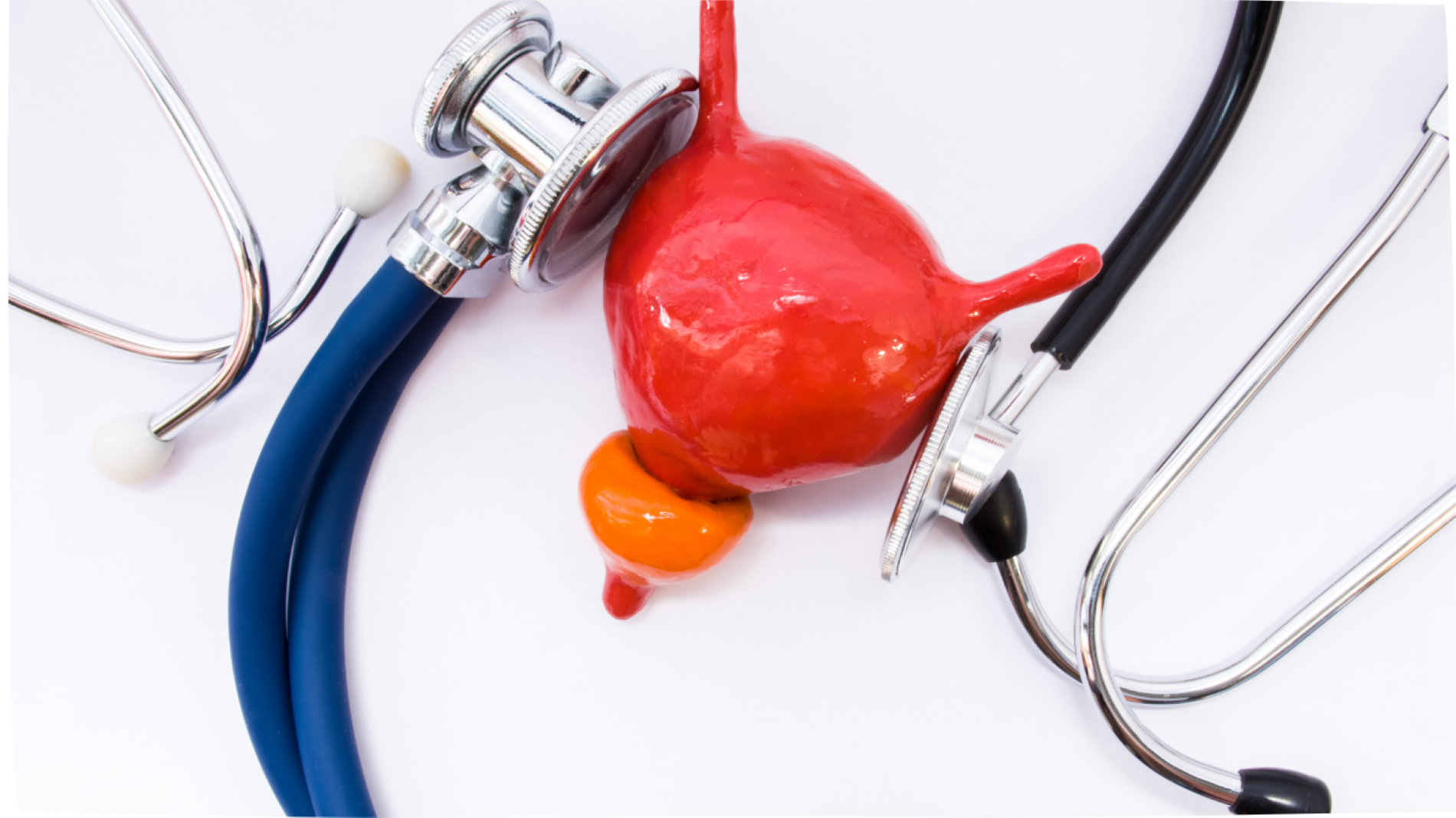 Urologie spécialité - grande clinique du nord